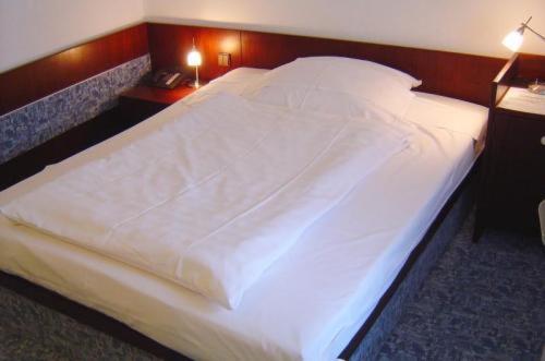 Hotel & Restaurant Raisch Steinwenden 設備 写真