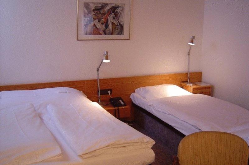 Hotel & Restaurant Raisch Steinwenden エクステリア 写真